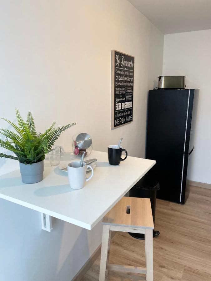 Appartement Du Grand Parc Chateauroux Exterior photo